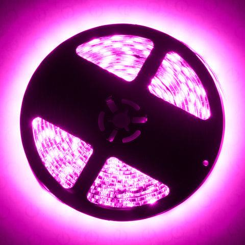 Oracle Interior Flex LED Spool - Pink - 4221-009