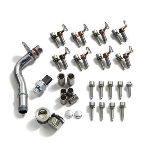 Ford Racing 2020+ F-250 Super Duty 7.3L Cylinder Block Plug and Dowel Kit - M-6026-SD73