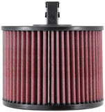 K&N 05+ BMW 325I/330I Drop In Air Filter - E-2022