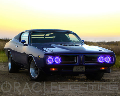 Oracle Pre-Installed Lights 5.75 IN. Sealed Beam - UV/Purple Halo - 6904-007
