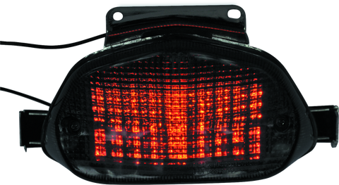 BikeMaster 01-02 Suzuki GSX-R1000 Integrated Tail Light - 261771