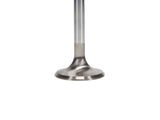 Manley Ford 2300 1.590 in Esslingerin Race Master Exhaust Valve - Single - 11795-1
