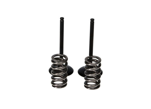 ProX 10-13 YZ450F Steel Intake Valve/Spring Kit - 28.SIS2440-2