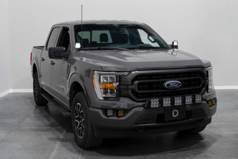 Diode Dynamics 21-22 Ford F-150 SSC2 Stage Series Backlit Ditch Light Kit - Pro White Combo - DD7367
