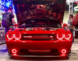 Oracle Dodge Challenger 08-14 LED Fog Halo Kit - White - 1166-001