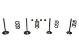 Wiseco 06-11 Suzuki LT-R450 Steel Valve Set - SVKB3406