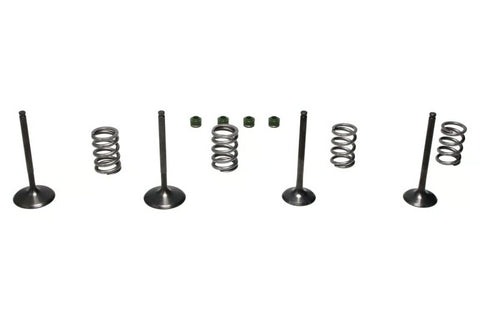 Wiseco 06-11 Suzuki LT-R450 Steel Valve Set - SVKB3406