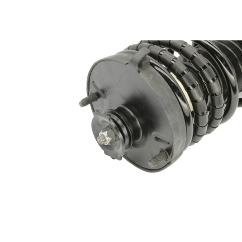 KYB Shocks & Struts Strut Plus Rear Left FORD Escort 1991-96 MAZDA 323 1990-94 MAZDA Protege 1990-94 - SR4008