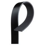 VMP Performance Belt for Coyote w/ Gen3R kit and 3.4in-3.5in Pulley - K060815