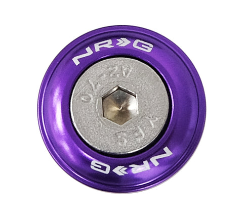 NRG Fender Washer Kit w/Rivets For Plastic (Purple) - Set of 10 - FW-100PP