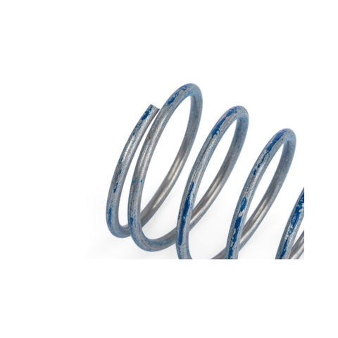 APR 76-83 Porsche 911 R1 DV Higher Pressure Spring - Blue - Z1001791