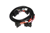 FAST Injector Harness Ev1 4.65.0 - 301203