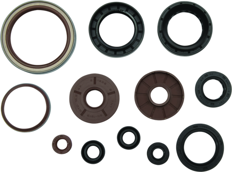 QuadBoss 09-10 Arctic Cat 1000 TRV Oil Seal Set - 564644