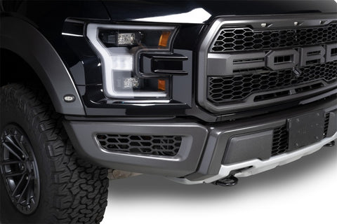 Putco 18-20 Ford F-150 Raptor - Hex Shield - Black Powder Coated Bumper Grille Inserts - 83168