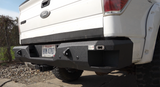 Fishbone Offroad 09-14 Ford F150 Rear Bumper - Black - FB22356