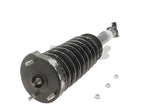KYB Strut Plus Front Right Chrysler 300 05-10 - SR4087