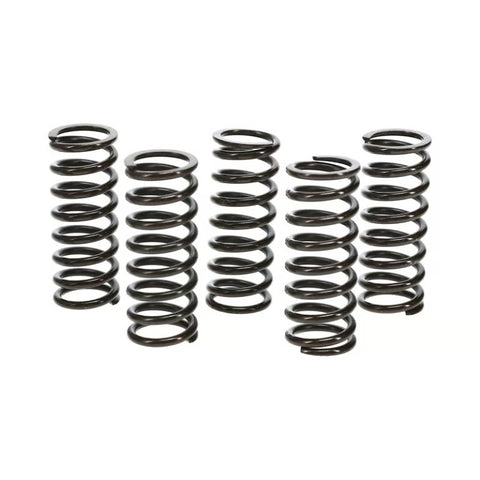 Wiseco Clutch Spring Kit Honda TRX400EX/X99-14 Clutch Basket - CSK009