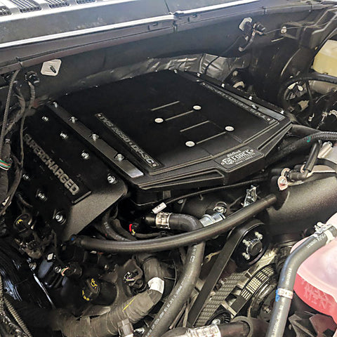 Edelbrock Supercharger Stage I R2650 2019 Ford F150 DI/PI 5.0L w/o Tuner - 158120