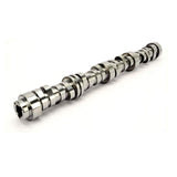 COMP Cams Camshaft GM Gen V LT1 Ltav 27 - 624-524-13