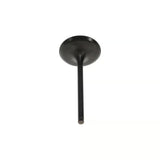 Wiseco 03-18 DR/00-20 LTZ400 Steel Intake Valve - VIS009