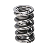 Manley Circle Track Roller Polished NexTek Series Valve Springs - 221441P-16