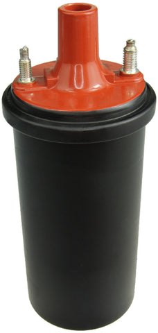 NGK 1983-82 BMW 733i Oil Filled Canister Coil - 48795