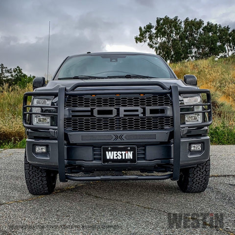 Westin 15-20 Ford F150 Sportsman X Grille Guard - Textured Black - 40-33835