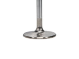 Manley Big Block Chevy Stock 3/8in Stem Diameter Severe Duty Intake Valves (Set of 8) - 11520-8