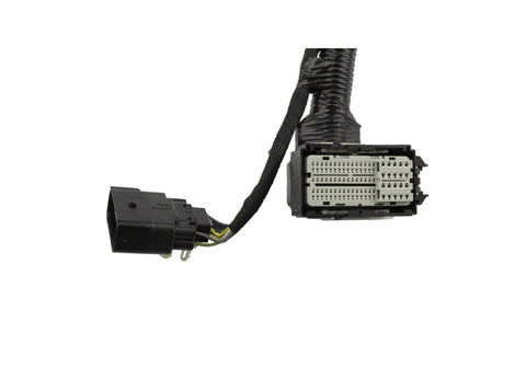 Ford Racing 5.0L Coyote Engine Harness for Automatic Transmission - M-12508-M50A
