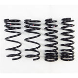 RS-R 2014-2020 Lexus IS250/350 RWD/AWD (GSE30/GSE31) Super Down Springs - T197S2