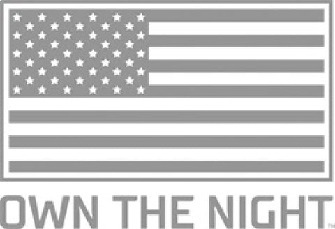 Rigid Industries 10-20 Toyota 4Runner A-Pillar Light Kit (Includes D-SS Flood) - 46703