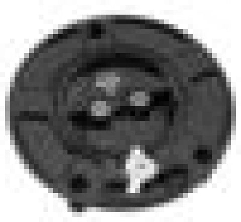 Vortex Racing  V3 Fuel Cap Suzuki- Black - GC520K