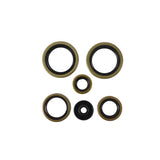 Vertex Gaskets 21-23 Gas-Gas MC125 Oil Seal Kit - 822370