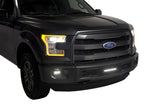 Putco 15-17 Ford F-150 - SS Black Punch Design w/ 10in Luminix Light bar Bumper Grille Inserts - 88160L