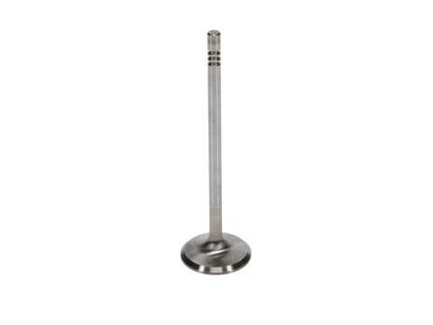 Manley Ford 4.6L 34mm Diameter 117.35mm Length Race Master Exhaust Valves (Set of 8) - 11630-8