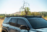 DV8 Offroad 25-26 Toyota 4Runner Roof Rack Light Cutout Fairing (Use w/ PN RRTF3-02) - RRTF3-02L