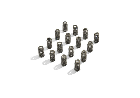 Ford Racing BOSS 302R Valve Spring Kit - M-6513-M50BR