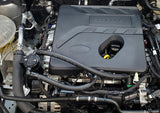 J&amp;L 2021-2024 Ford Bronco 1.5L EcoBoost Passenger Side Oil Separator 3.0 - Black Anodized - 3043P-B