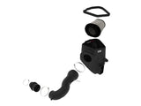 aFe Magnum FORCE Stage-2 Pro DRY S Cold Air Intake 19-20 GM Silverado/Sierra 1500 V6-4.3L - 54-13057D