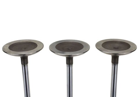 Ford Racing Coyote 5.2L Lightweight Intake Valve - Set of 8 - M-6507-M52