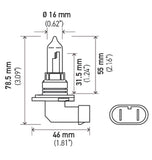 Hella 9005 12V 65W Xen White Bulb (Pair) - H71071402