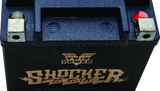 Twin Power YTX-14L Shocker Gel Battery Replaces H-D 65958-04 220 CCA - 781232