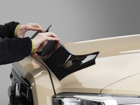 WeatherTech 12-13 Ford Fiesta Hood Protector - Black - 55110