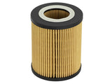 aFe Pro GUARD D2 Oil Filter 96-06 BMW Gas Cars L6 (4 Pack) - 44-LF022-MB
