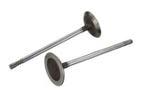 Ford Racing Coyote 5.2L Lightweight Intake Valve - Set of 8 - M-6507-M52