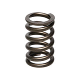 Manley Nissan (RB26DET) 24pc Valve Springs - 22175-24