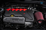 APR 17-20 Audi RS3/18-22 Audi TT RS Quattro (MK3) 2.5T TFSI Carbon Fiber Intake Filter System - CI100038-A
