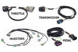 Haltech NEXUS Rebel LS Kit (Suits Gen IV) 6-Pin DBW Throttle/EV6 Injectors/Manual Transmission - HT-220204