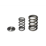 Skunk2 Alpha Series Honda/Acura H Series Valve Spring and Titanium Retainer Kit - 344-05-1360