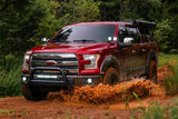 Diode Dynamics 15-20 Ford F-150/Raptor Sport SS3 LED Ditch Light Kit - White Combo - DD6567
